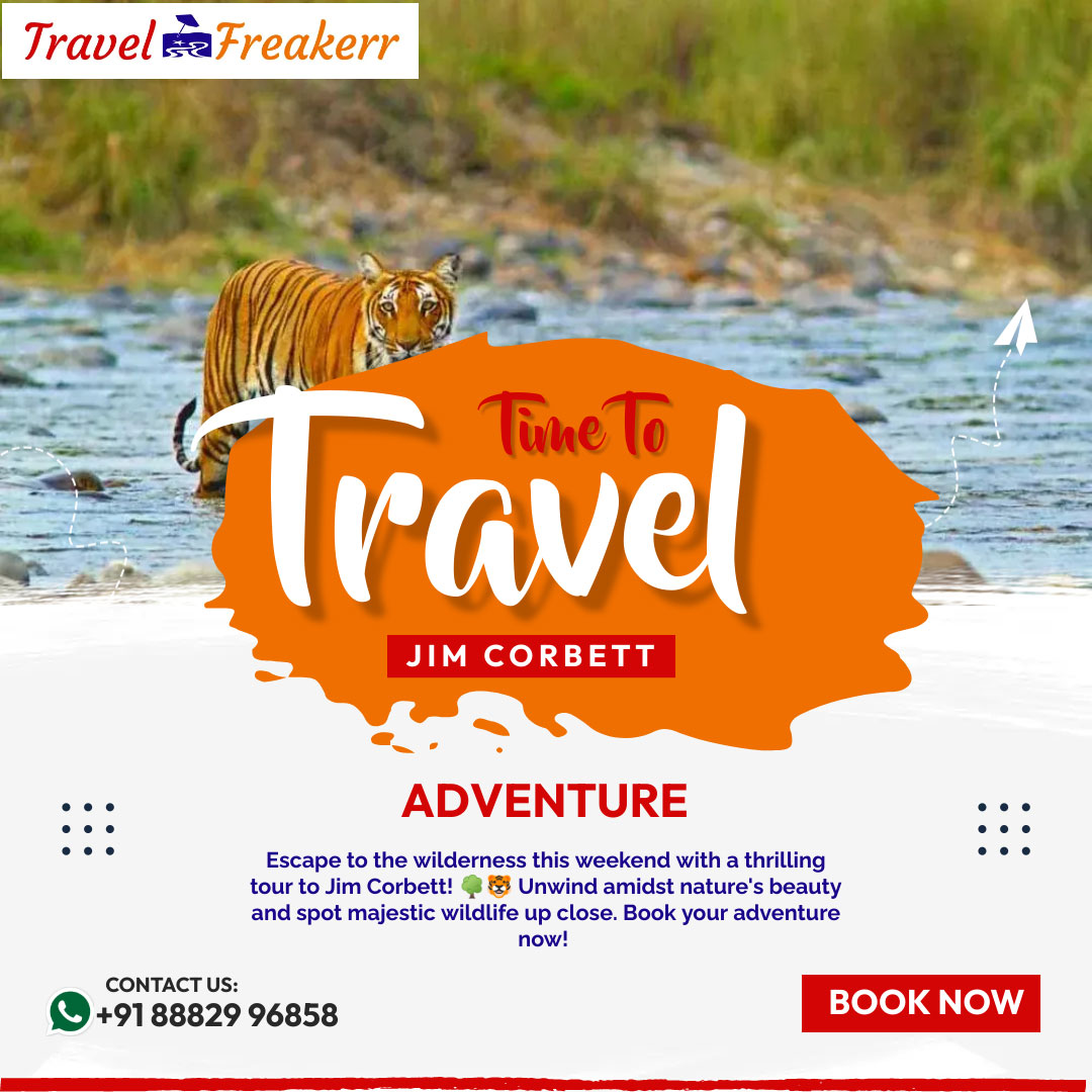 Escape to the wilderness this weekend with a thrilling tour to Jim Corbett! 🌳🐯 Unwind amidst nature's beauty and spot majestic wildlife up close. Book your adventure now! #JimCorbett #WeekendTour #WildlifeAdventure #NatureEscape #WildernessGetaway #ExploreCorbett