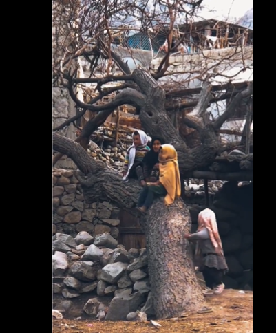 Tabasum_Dar_'s tweet photo. The laughter of village children echoing through the valleys of #Kashmir is a beautiful symphony of pure joy and innocence, reminding us of the unbreakable spirit and resilience of Kashmiri communities. #Dhruv_Rathee #LaapataaLadies
@AmitShah
#TejRan #ICAI #Waqf #LokSabhaPolls https://t.co/HBN4TjaFVE
