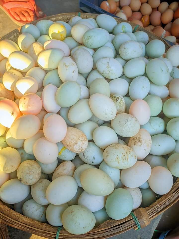 Egg is caming from mataji to bodolgachi.
Possible Binance listing
@SenderLabs
✅ Exploring this project
<a href="/XterioGames/">Xterio</a>
📷 Exploring this project. $XTER   📷 $RICY