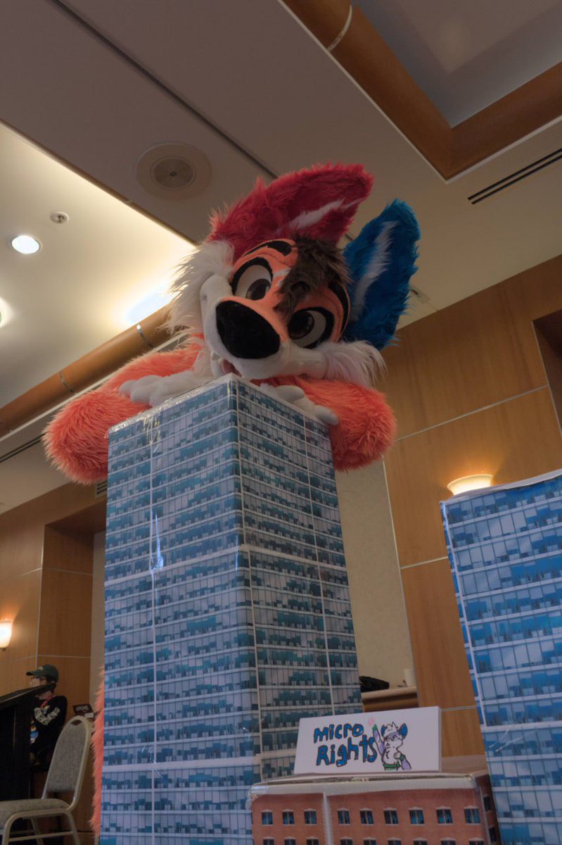 OzziFoxy's tweet photo. Big stompy fox has visited town~ >;3 🦊🐾

#MacroMonday #FurDU2024

✂️: @MoreFurLess 
📸: @Arramall https://t.co/3MOualeliF