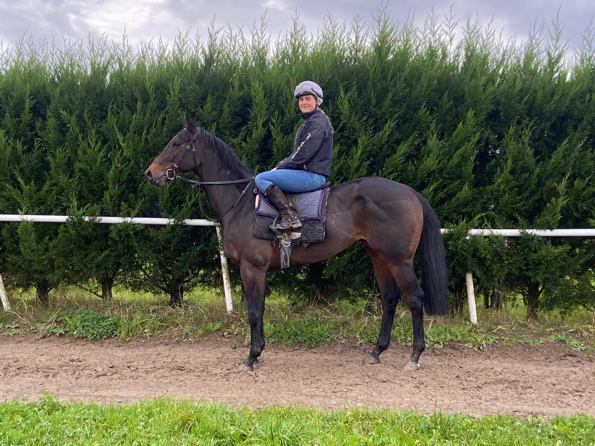 We then have Kalganov running in the 3.50 @ayrracecourse for @mdodsracing and @connorbeasley9 He was a real star for us this winter and should give his owners plenty of fun this summer too! Best of luck all owners and have a great day on track!