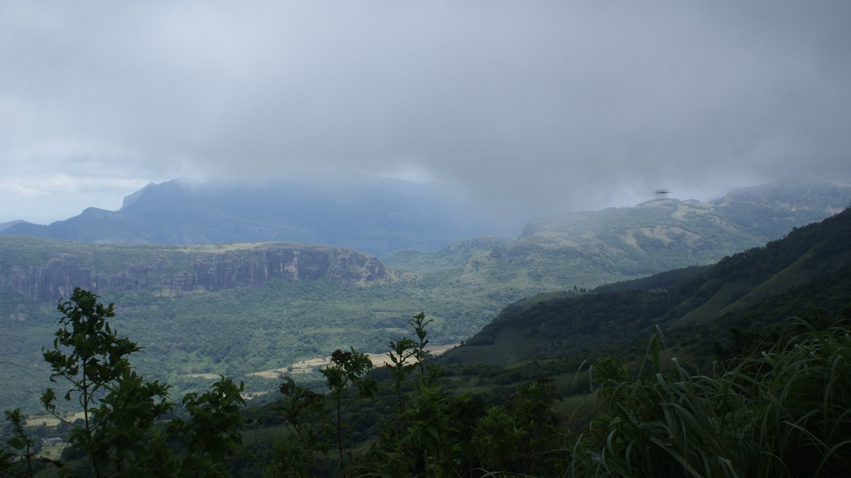BonaFide77777's tweet photo. Exploring the delicate beauty of Knuckles Conservation Forest 🌿 Nature's masterpiece at its finest! Let's cherish and protect this wonder.
#KnucklesForest #NatureLovers #Conservation #Biodiversity #SriLanka #EcoTourism #Wildlife #GreenBeauty #ExploreNature #ProtectOurPlanet #HikingAdventures #Rainforest #SustainableLiving #Preservation #NaturalHeritage