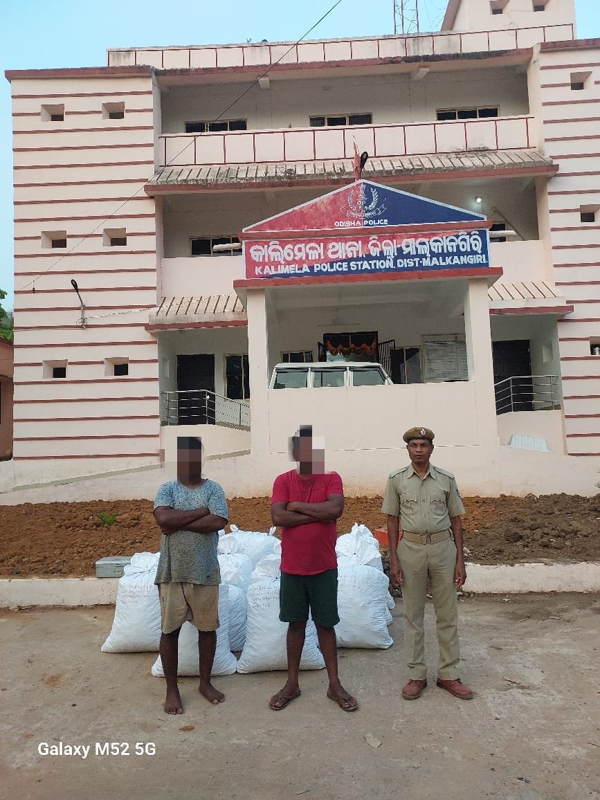 #Kalimela PS team while performing night patrolling detected and seized contraband Ganja of net weight 350KGs near village Kenduguda jungle area under Kurmanur GP, and apprehended two accused persons who were preparing to transport contraband Ganja.