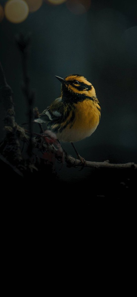 اللهم احفظ لنا 
من هم سر سعادتنا 
صلوا على خير الانام