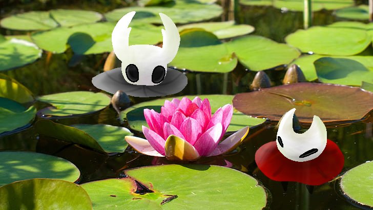 Swimmy shaw #hollowknight