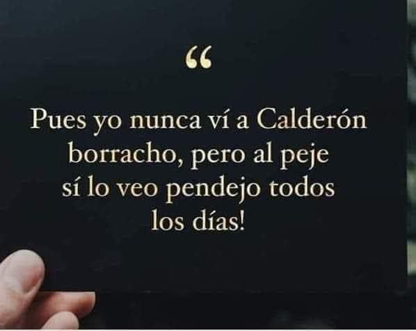 Pues yo nunca he visto a Xóchitl bien pendeja defendiendo en público a su ex y a su jefe…