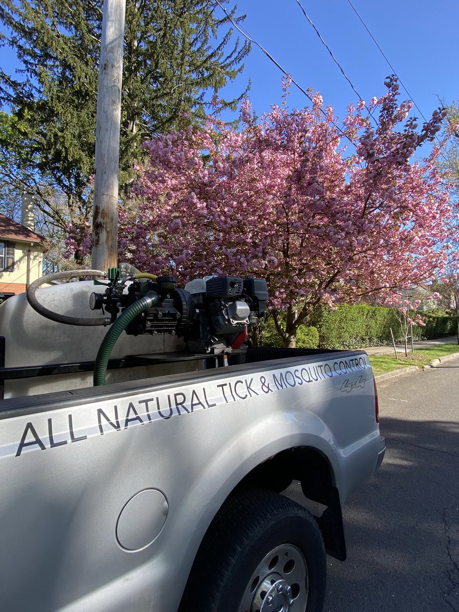 SafesideT's tweet photo. Full colors of spring 🌸🌱 #Spring2024 #flowerpictures https://t.co/DR4MnduzpR