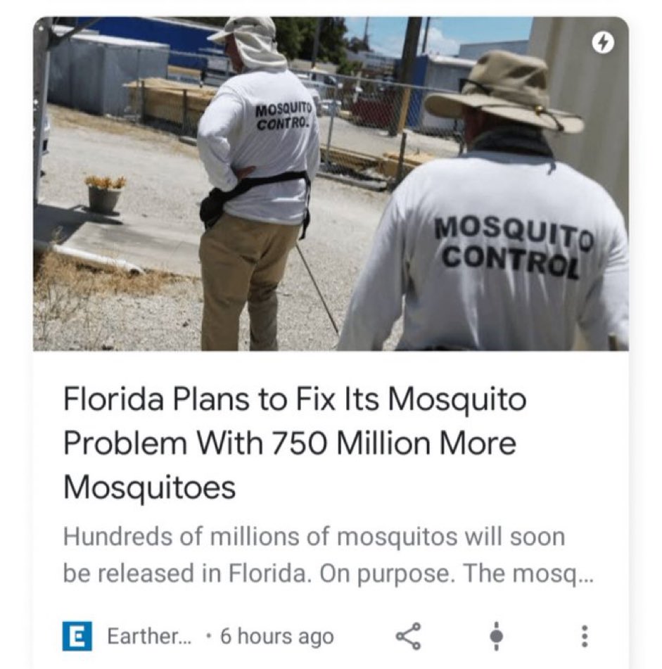 Norm MacDonald: “Florida’s problem? NOT ENOUGH MOSQUITOS”