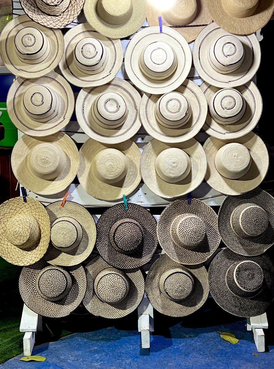 betzaida_rosas's tweet photo. Para las Reinas…Corona o sombrero 🇵🇦 ? 

#FeriadeAzuero 
#MiFoto https://t.co/113TP2Jz4O