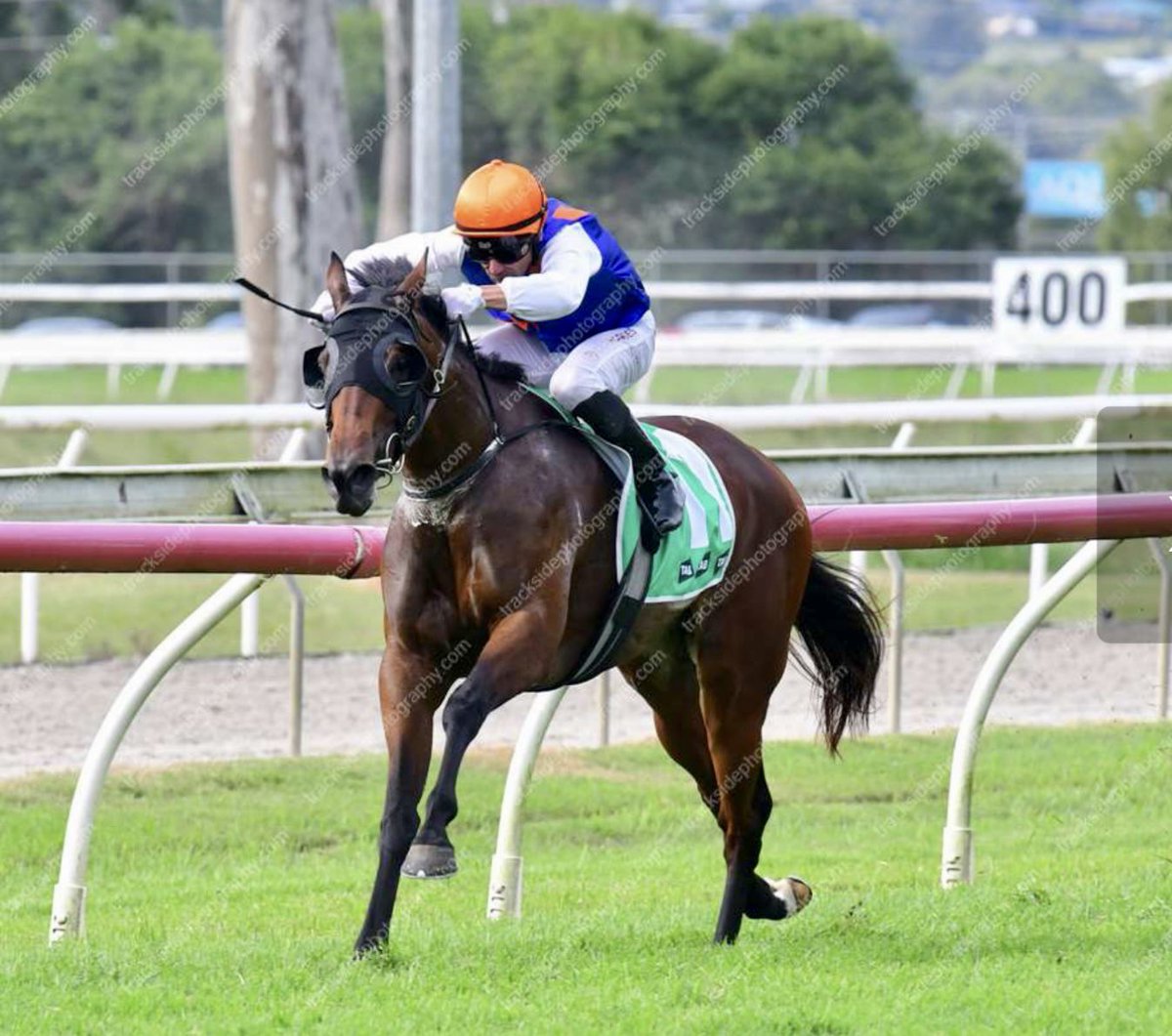 RacingShailer's tweet photo. 🥇🥇 RECENT WINNERS🥇🥇

🚀19/4- #Scud 
🌊25/4- #OceanAlps

Stay tuned for upcoming runners!

#shailerracing #racewithus #horseracing #horsesofinstagram #winner #thoroughbreds #racehorse #race #thoroughbredhorse #thoroughbred #horse #horses #racing #raceday #thoroughbredracing https://t.co/DTHpz9oMYb