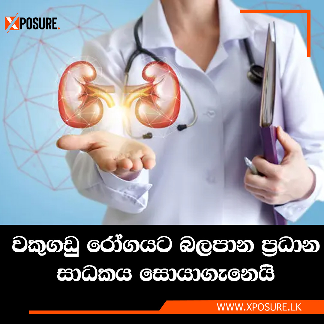 වකුගඩු රෝගයට බලපාන ප්‍රධාන සාධකය සොයාගැනෙයි

වැඩි විස්තර :-
tinyurl.com/2vdk3h85

#news #srilanka #helthylife #kidneydisease