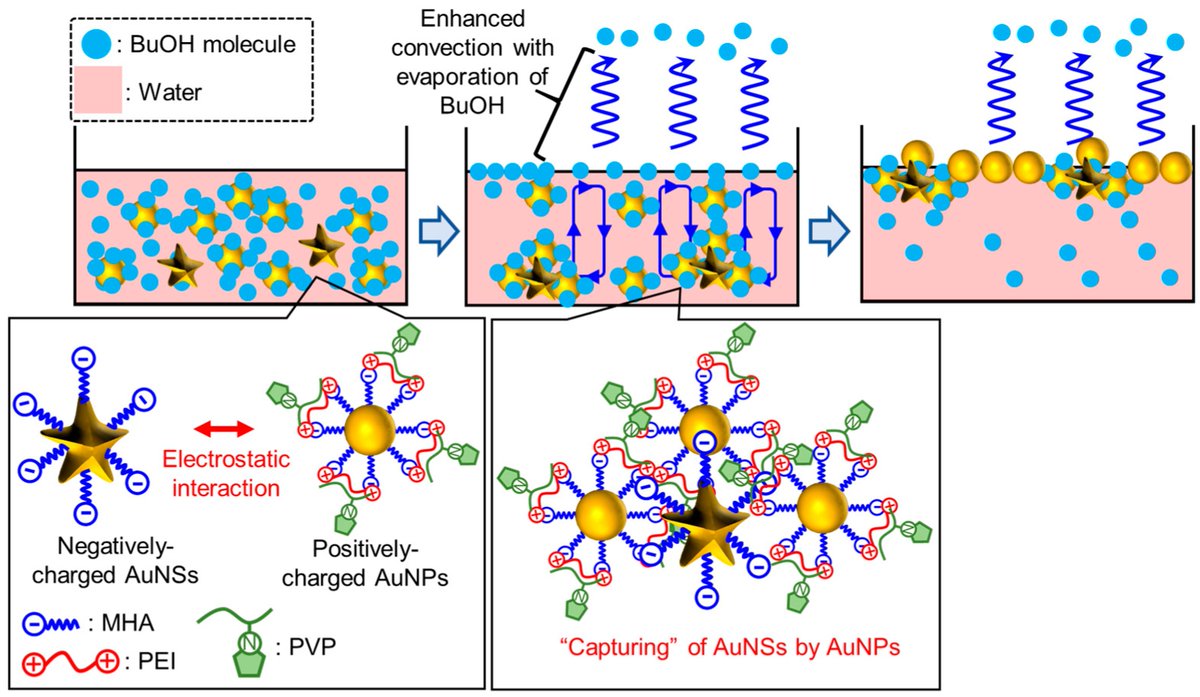 📌 Fresh Publication in #Nanomaterials 📜 Development of Au #Nanoparticle Two-Dimensional Assemblies Dispersed with Au Nanoparticle-Nanostar Complexes and Surface-Enhanced #Raman Scattering Activity 🔗 Read the full paper at:  mdpi.com/2079-4991/14/9… #openaccess #SERS