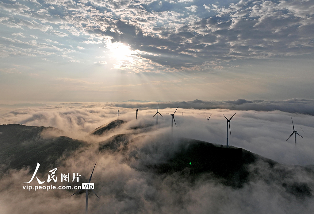 A mesmerizing sea of clouds undulates beneath the orderly array of wind turbines in Xing'an County, south China's Guangxi, forming a breathtaking tableau that epitomizes sustainable green development. #CleanEnergy