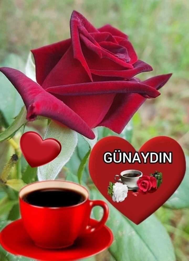 Günaydınlar, Yeni bir gün Yeni bir umut Yüreği güzel insanlara selam olsun. Iyi bir gün geçirmeniz dileğiyle ..🌹 Iyi pazartesiler