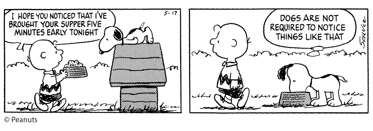 📚[PEANUTS DICTIONARY #639]📚

本日のフレーズ「DOGS ARE NOT REQUIRED TO NOTICE THINGS LIKE THAT」(1990年5 月17 日)

犬はそんなことに気が付く必要はない

#zipfm #PEANUTS #まぎじゃむ #PD #スヌーピーえいご #snoopy