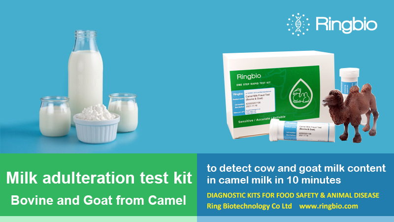 #Ringbio’s camel #milkfraud test kit is to detect #cow and #goat milk in #camelmilk. Detection takes less than 10 minutes, which is rapid, #sensitive and #accurate. This kit is being validated by #ILVO.

Click here, lnkd.in/gaEPRzpi

#milktest #rapidtest #FoodSafety