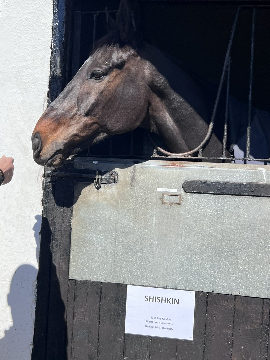 adele82306097's tweet image. Devastated - so sorry for all who loved and cared for him at @sevenbarrows