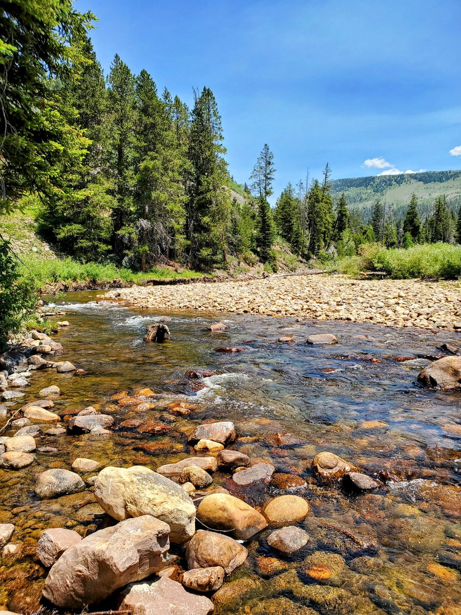 A  beautiful day in the Uinta Mountains.  

#nature #NaturePhotography #NatureLover