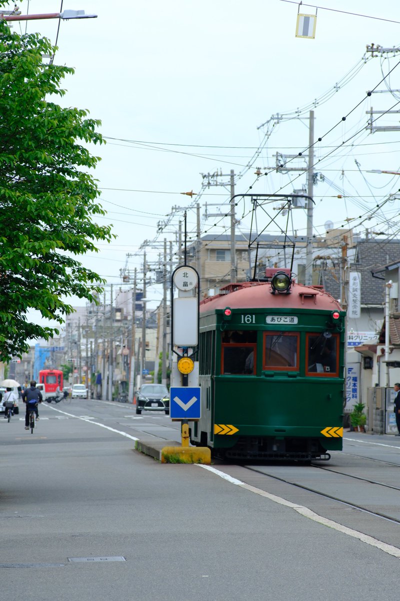 阪堺沿線にチャリで来た。

X-T5
Tokina AT-X SD 80-200/2.8(MF)
(Rayqual OM→FX)
2024/4/29 

#阪堺 #阪堺電車 #阪堺電気軌道 #モ161