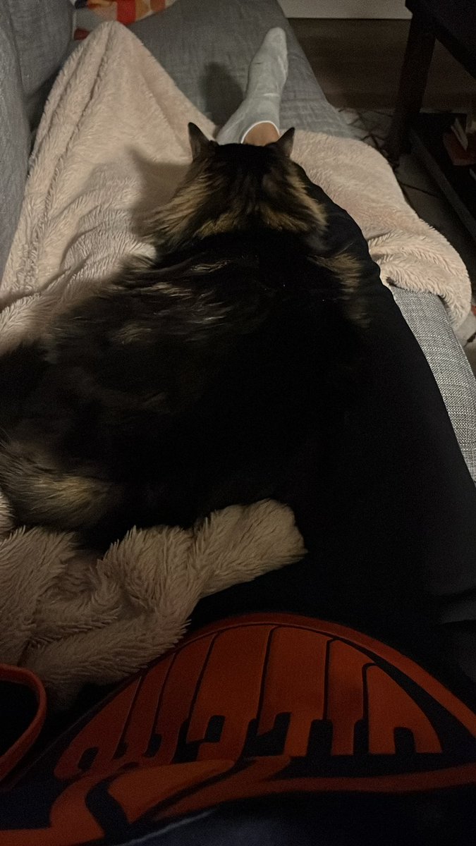meganalbu's tweet photo. I was v. stressed all game so currently calming + cooling down with my cat π» #LetsGoOilers #ConnortheCat https://t.co/JyUncesI1n