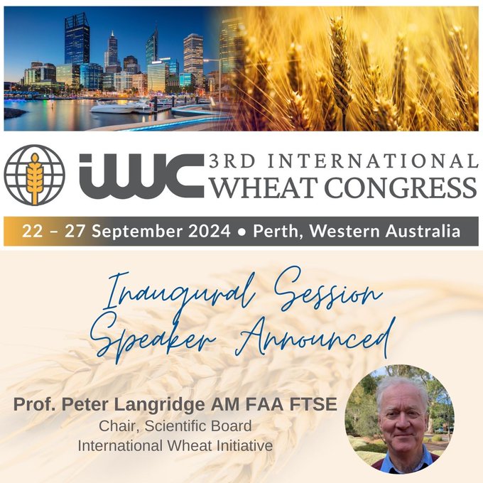 🌾@WheatInitiative is happy to announce that Prof. Peter Langridge will be the inaugural session speaker at #iwc2024 in Perth! Peter is Chair of our Scientific Board (wheatinitiative.org/scientific-boa…) Submit your abstract to IWC2024 before Monday, May 6, 2024. iwc2024.com/abstracts/