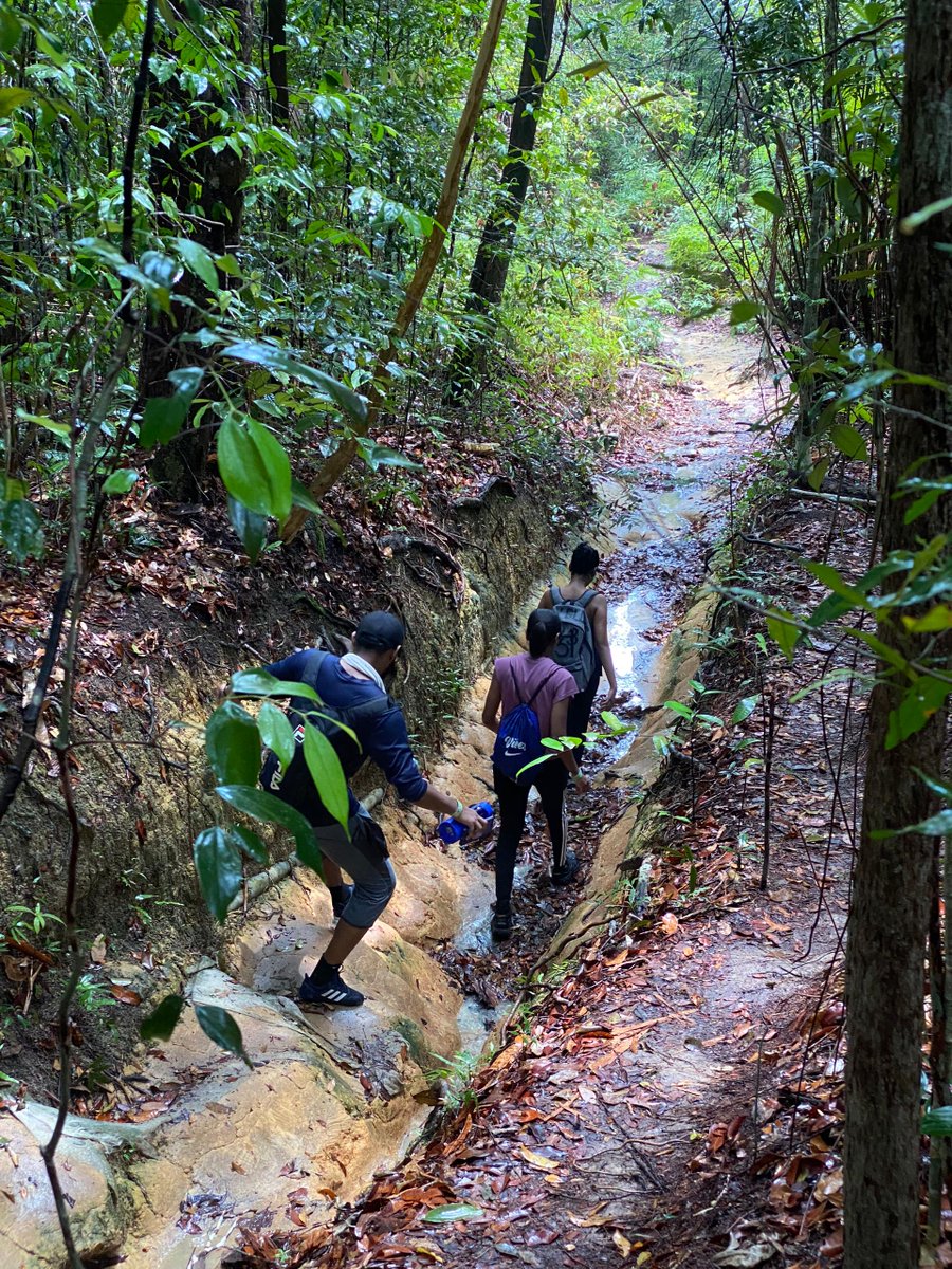 Take a hike and find your path to adventure! Lace up your boots, breathe in the fresh air, and let nature be your guide. Tracing Footprints: Reliving the Joyous Journey of MSUC Penang English Club at Pantai Kerachut! #msucollege_penang #MSUmalaysia