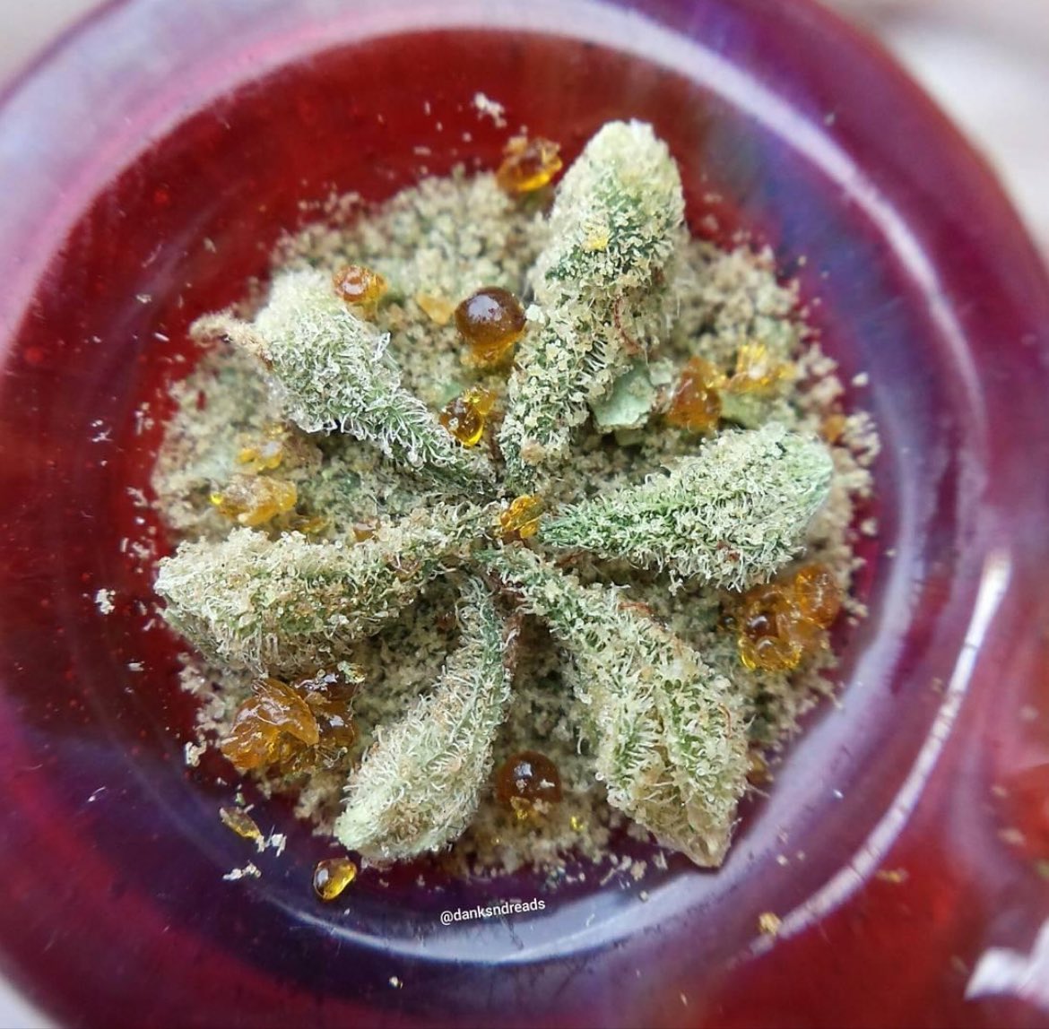 Tasty Bowl
Thc & Cbd. 
📸;danksndreads