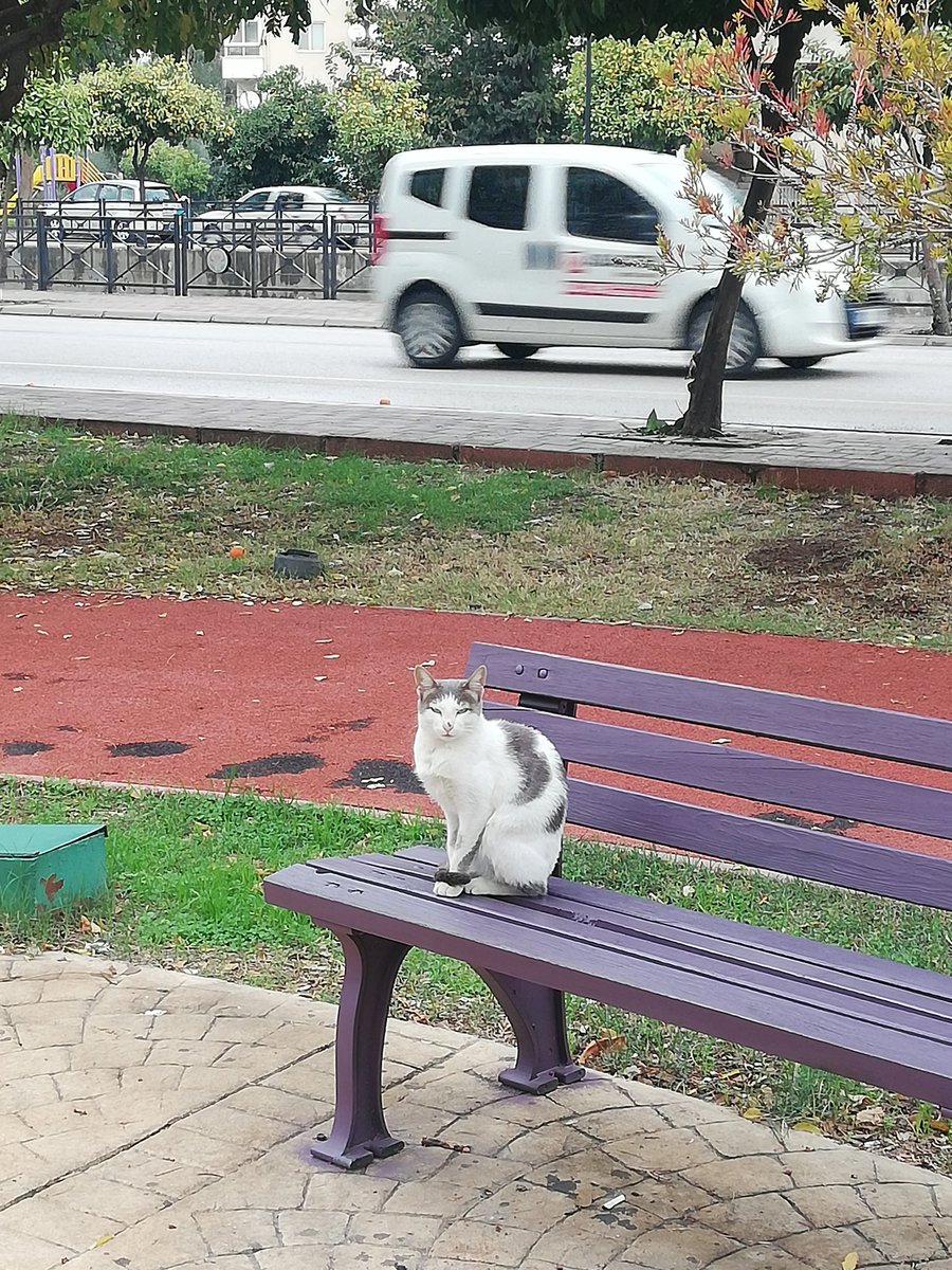 Fevkalâde memnunum dünyaya geldiğime, toprağını, aydınlığını, kavgasını ve ekmeğini seviyorum. NazımHikmet Günaydın şiirle 💙🦋