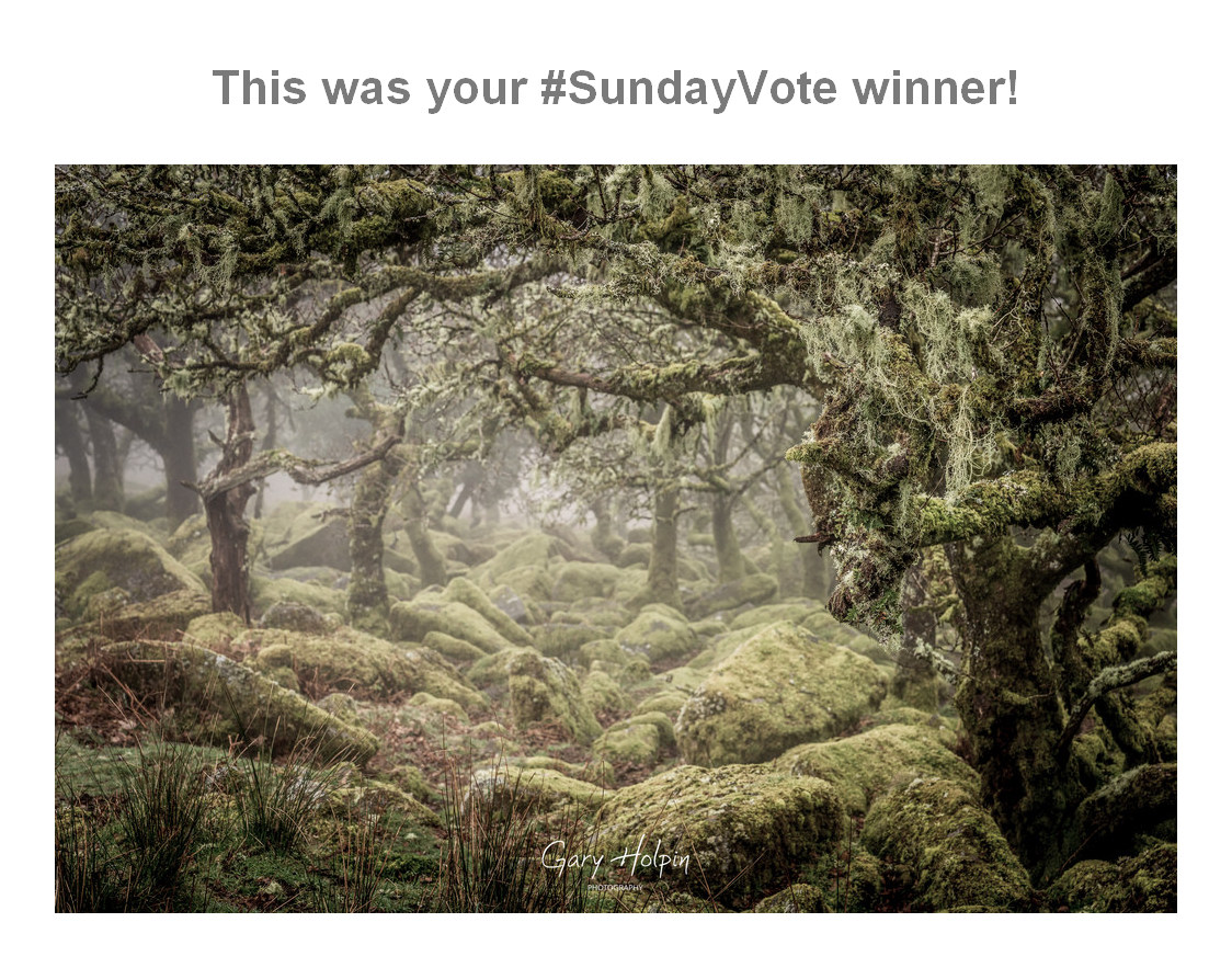 Thanks for voting in the #SundayVote! It seems I got the order right this week - you voted number 1 the winner followed by 2,3 then 4! Have a great week! 😀 #dailyphoto #dailyphotos #dartmoor