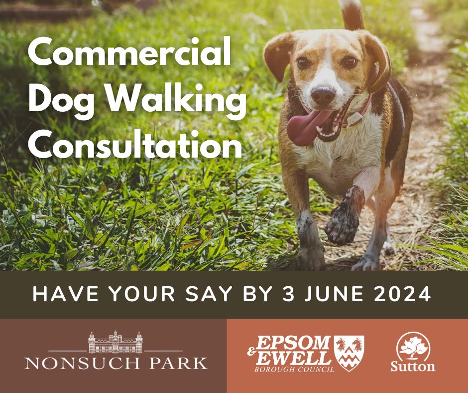 We are carrying out a Commercial Dog Walking Consultation. Your responses will help inform any future decisions on measures to control commercial dog walking in Nonsuch Park. The consultation closes on 3 June . Find out more: orlo.uk/rRfWB