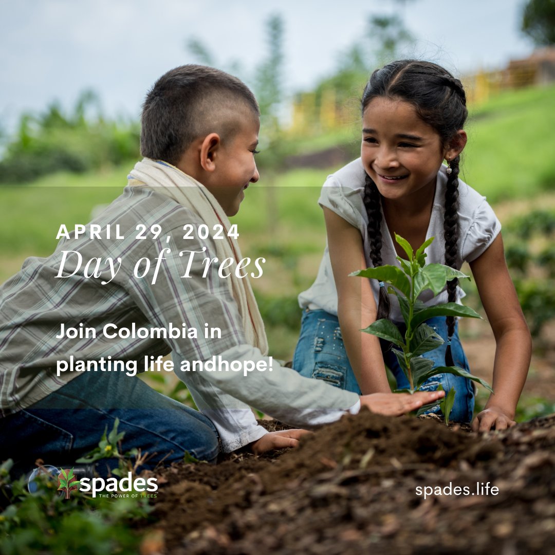 Happy #DayofTrees! Colombians celebrate by planting trees for a greener tomorrow. At Spades, we're committed to global reforestation, fostering economic growth and environmental restoration. Learn more at spades.life #Colombia #PowerOfTrees #Sustainability