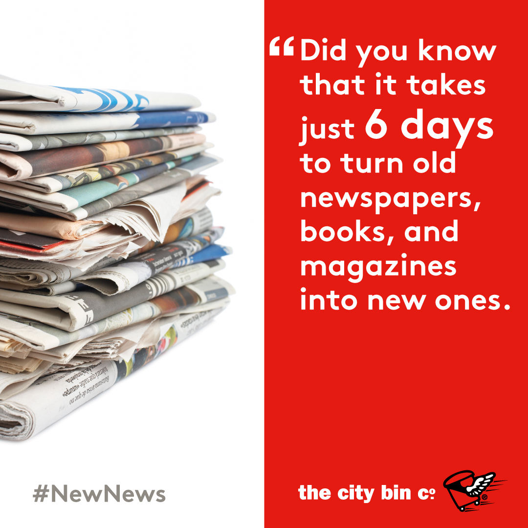 #Recycling fact of the week! ♻️

#reduce #reuse #recycle #upcycle #sustainability #waste #wastemanagement #thecitybinco