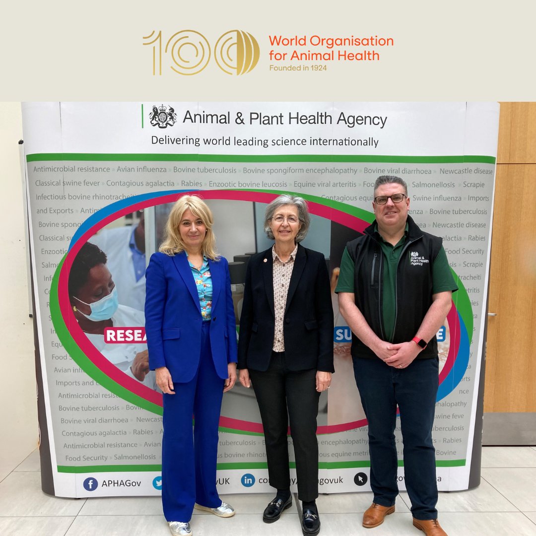 Today APHA’s CEO and the UK's Chief Veterinary Officer welcomed the Director General of the World Organisation for Animal Health (@WOAH) to a special event at APHA Weybridge celebrating the UK's work on #AnimalHealth to mark WOAH's centenary. @DefraGovUK #WOAH100