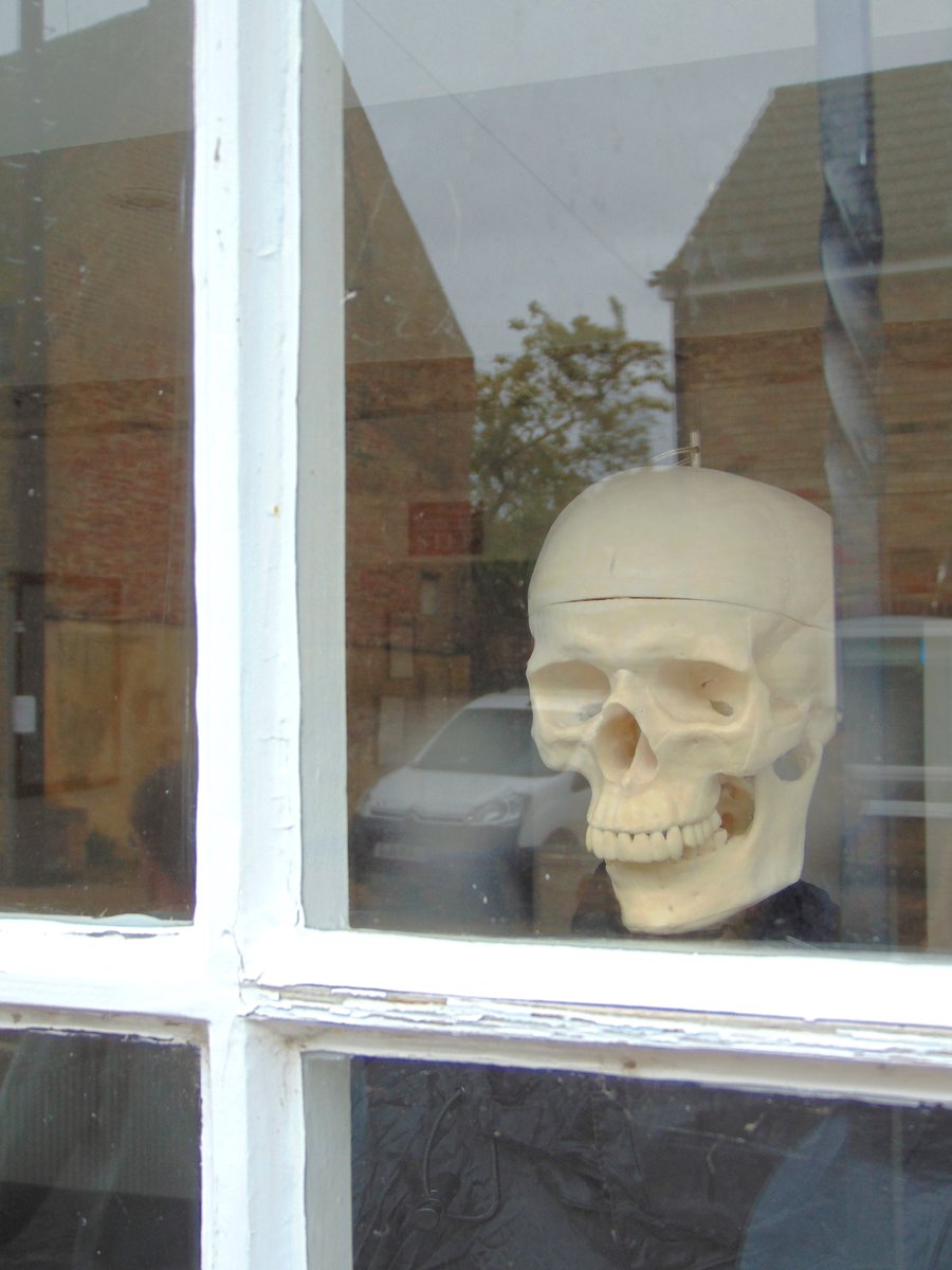 Got to the point of engaging a SEO agent, but then I have to send them my best content; oh, it's all such a goddamn faff! Might try ArtGemini again this year? #theferrisfiles #ely #skull #windows #ferrisphotos #metaphorsaplenty