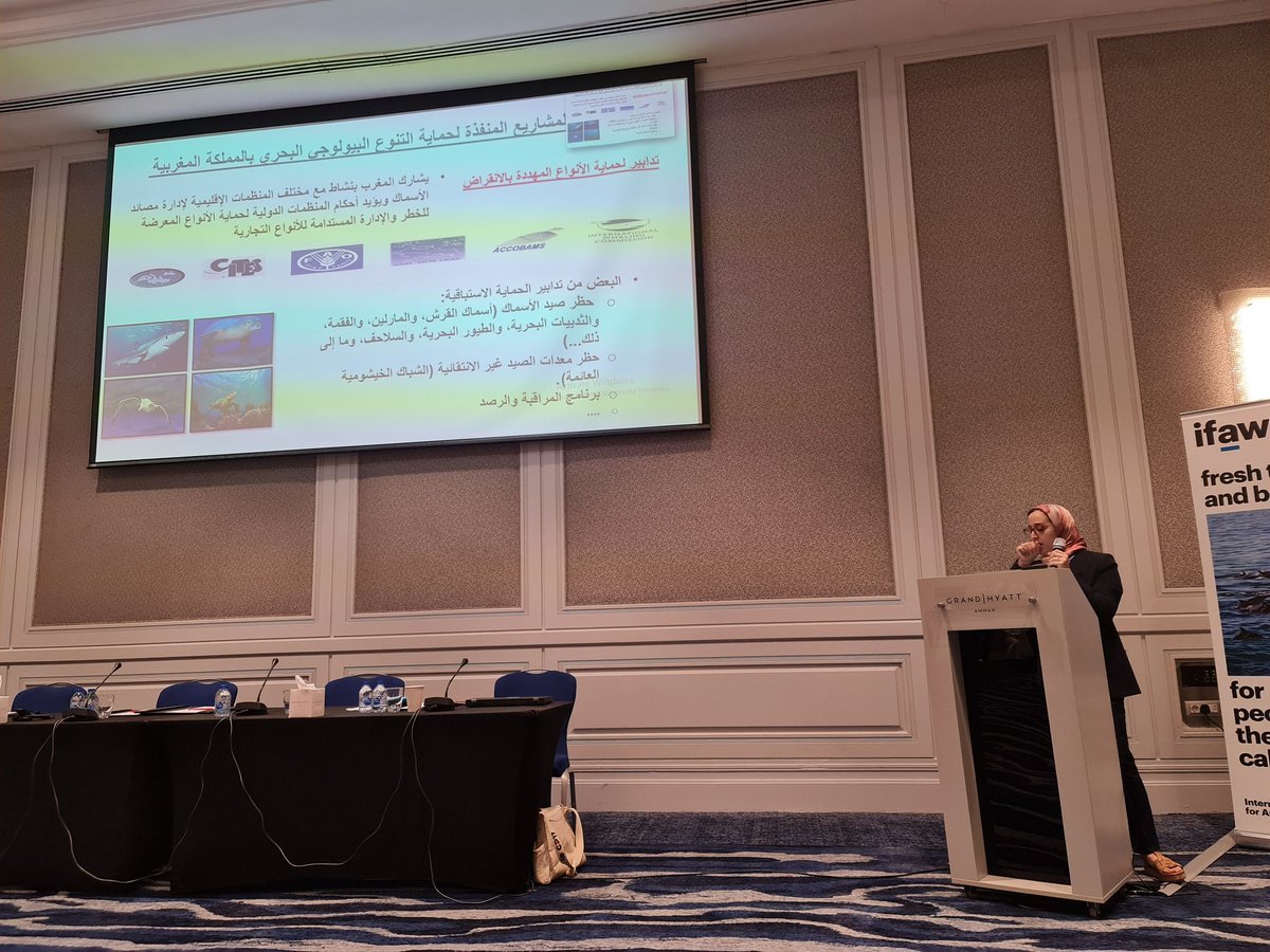 Wrapping up the day 2 morning session of #BBNJ #HighSeasTreaty MENA workshop, Ms. Siham Amanou of Morocco Ministry of Fisheries gives its perspective on the importance of the BBNJ agreement, synergies with exisiting activities & why Morocco is among the early signatories.