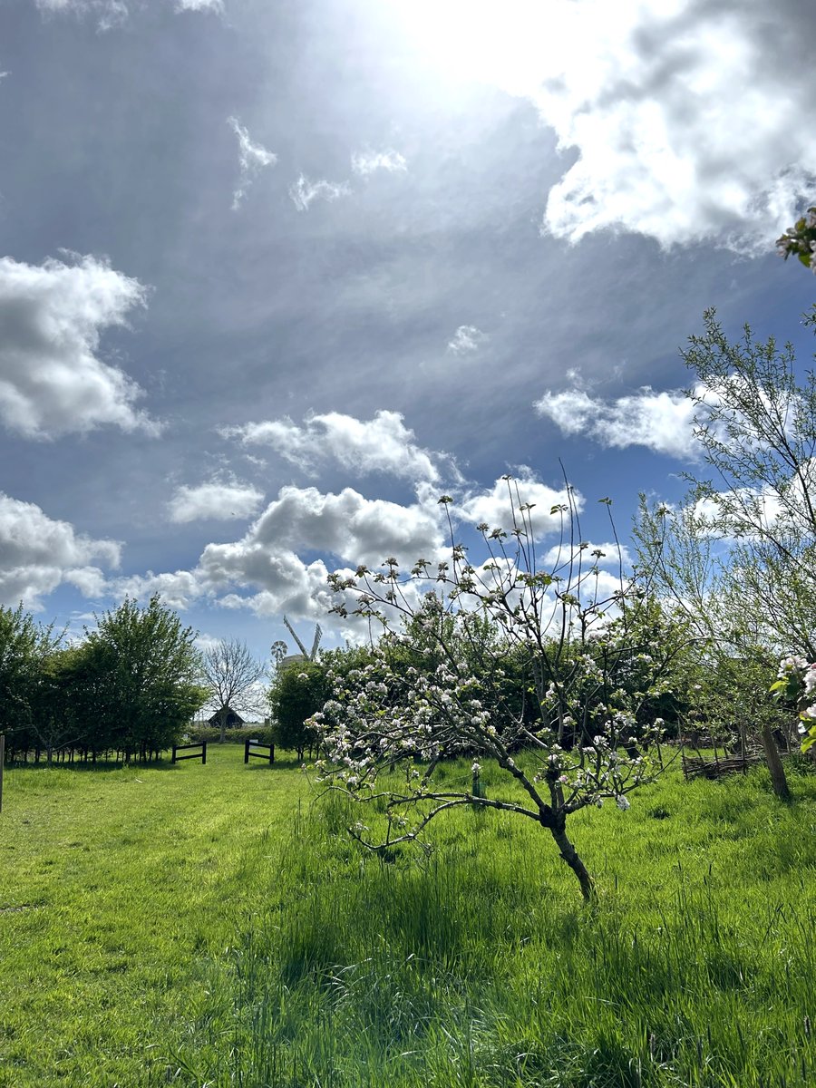 NorfolkCoastNT tweet picture