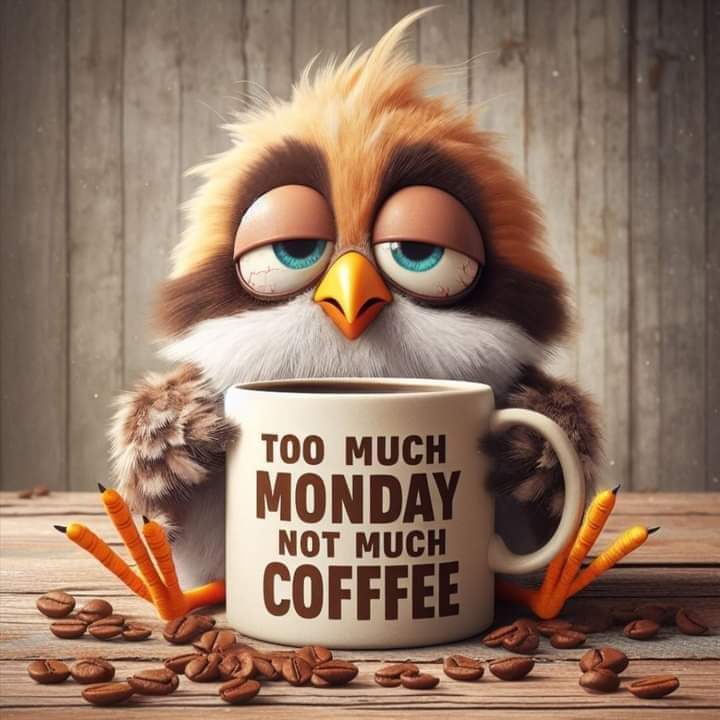 😴🥱 M O N D A Y 🥱😴

🙂🙃 I Wish The Weekends Were 3 Days 🙃🙂

❤️☕️  Irish Cream Coffee This Morning ☕️❤️
#coffeeaddict #coffeelover #coffeeholic #coffeecoffeecoffee #Coffee #coffeetime #coffeeporn #coffeelife #coffeeislove #coffeedaily