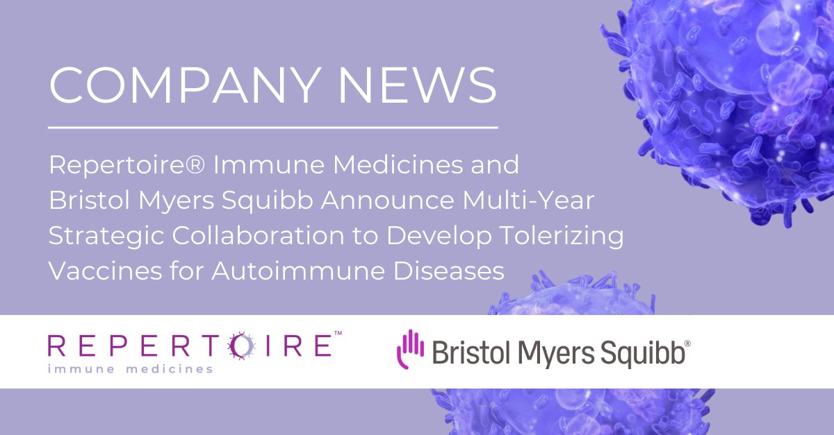 Repertoire Immune Medicines (@repertoireim) on Twitter photo We are excited to announce we have entered into a multi-year strategic collaboration with <a href="/bmsnews/">Bristol Myers Squibb</a> to develop tolerizing vaccines for up to three #autoimmune diseases. Read more: bit.ly/3UiabRG We are excited to announce we have entered into a multi-year strategic collaboration with <a href="/bmsnews/">Bristol Myers Squibb</a> to develop tolerizing vaccines for up to three #autoimmune diseases. Read more: bit.ly/3UiabRG