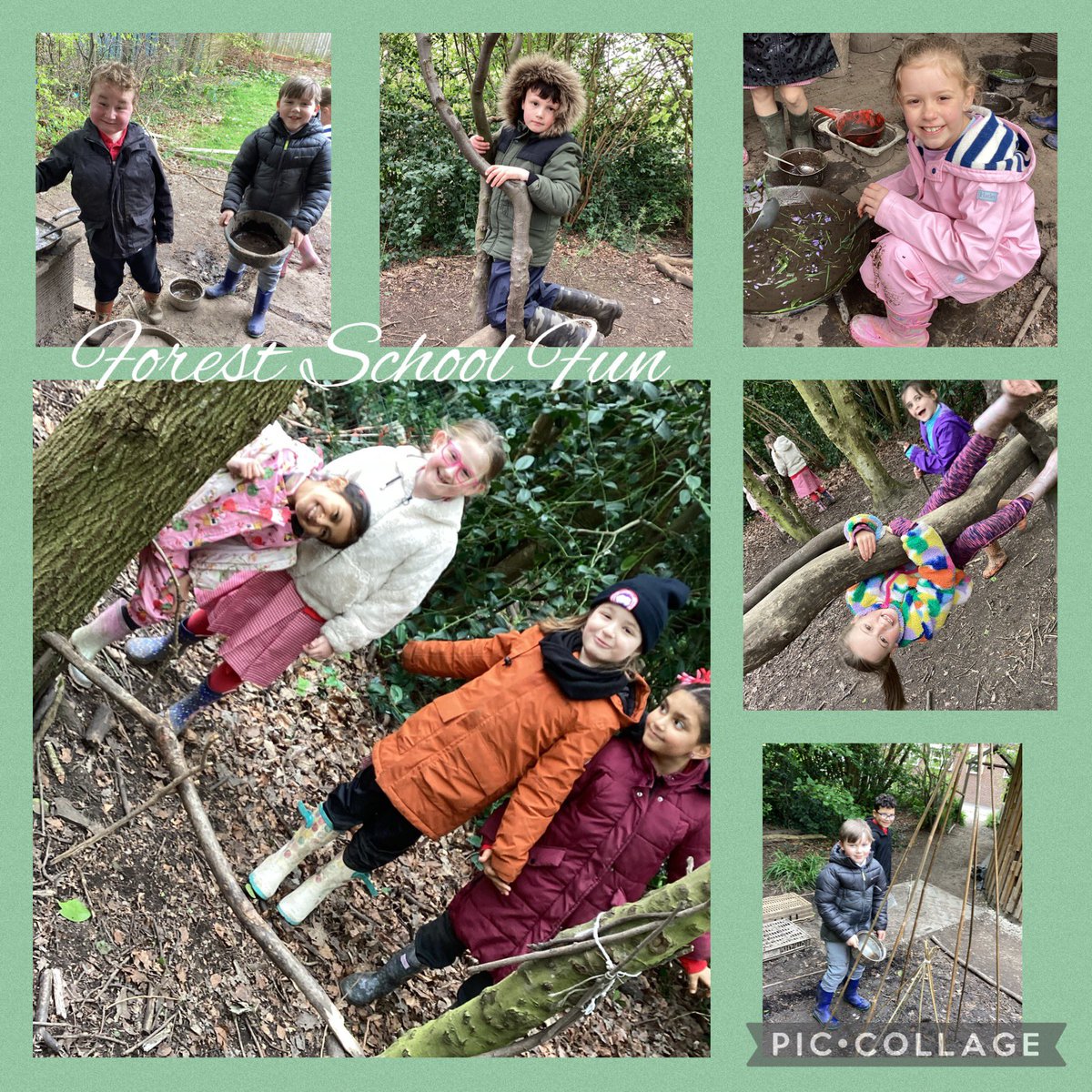 Year 3 are having a relaxing 😎 morning at Forest 🌳 School #DiddyForestSchool
#DiddyWellbeing