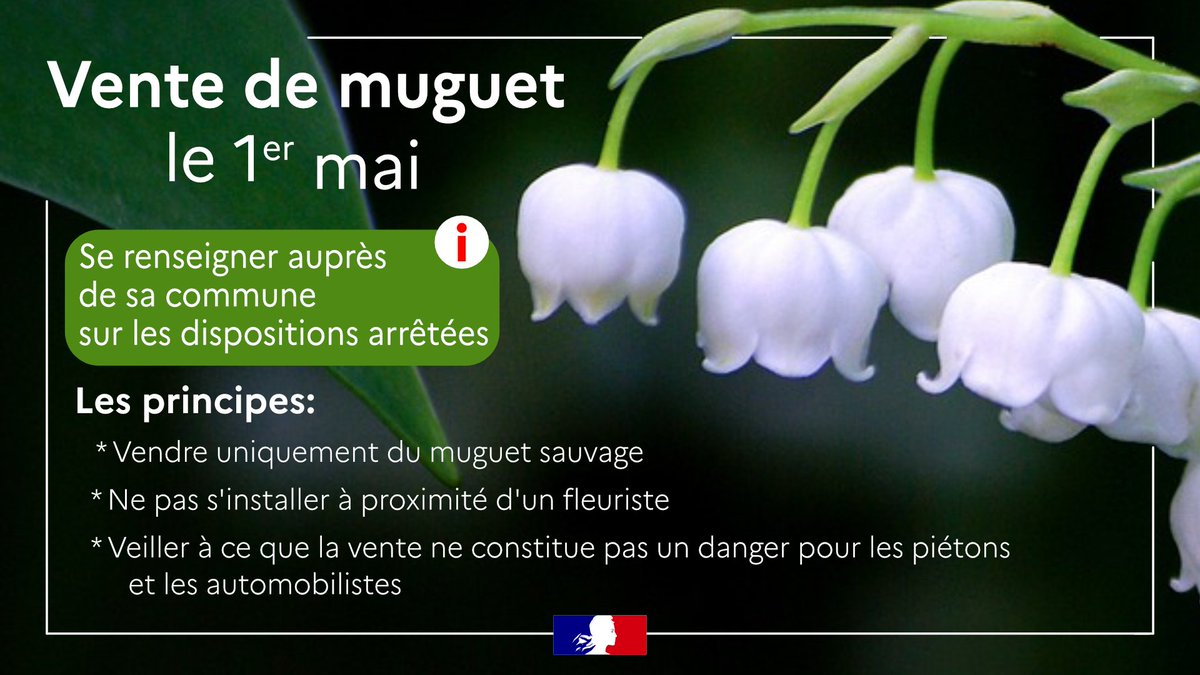 #1erMai | La vente du #muguet sur la voie publique par des particuliers pour le 1er mai est encadrée afin d'éviter une concurrence déloyale aux fleuristes professionnels. 📌 Le rappel de la réglementation dans le communiqué de la préfecture du #Var 👉 var.gouv.fr/contenu/telech…