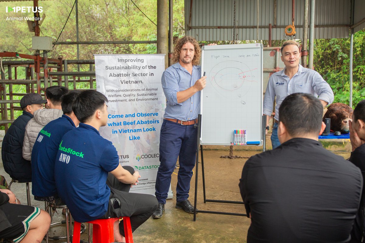 Concluding the animal welfare training at HCMC abattoirs with abundant fun and boundless creativity! 📷📷 Sketching cattle during the session demanded quite an imagination!
.
.
#Impetus #ImpetusAnimalWelfare #AnimalWelfare #AnimalWelfareTraining #Livestock #Agrifood #Agritech