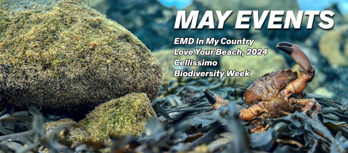EVENTS IN MAY 💙
We are really looking forward to celebrating our Ocean with a series of wonderful events throughout May. 
#EMDInMyCountry #LoveYourBeach #CellissimoIRL and #BiodiversityWeek  
EMD: nationalaquarium.ie/events-on-the-…
Cellissomo: musicforgalway.ie/cellissimo-202…