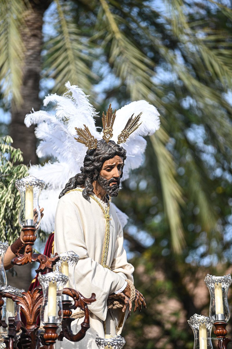 Buenos días #PinoMontano comenzamos nueva semana a 347 días de un nuevo y esplendoroso #ViernesDeDolores… (📷@FFortunez )