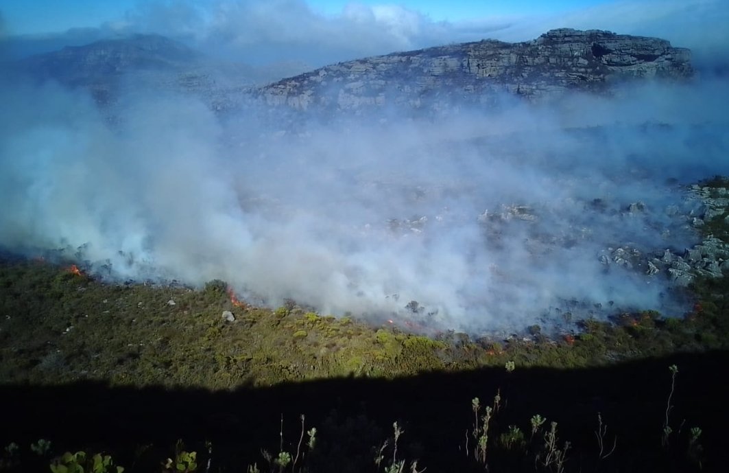 SANParks TMNP (@tablemountainnp) on Twitter photo Skeleton Gorge Fire Incident Report - ongoing
Currently, firefighting efforts are underway, involving 40 firefighters of <a href="/NCCEnviron/">NCC Environmental Services</a> <a href="/wo_fire/">WOF-Kishugu JV</a> & City of Cape Town Biodiversity unit.
➡️ facebook.com/10007181064546…
#Fire Skeleton Gorge Fire Incident Report - ongoing
Currently, firefighting efforts are underway, involving 40 firefighters of <a href="/NCCEnviron/">NCC Environmental Services</a> <a href="/wo_fire/">WOF-Kishugu JV</a> & City of Cape Town Biodiversity unit.
➡️ facebook.com/10007181064546…
#Fire