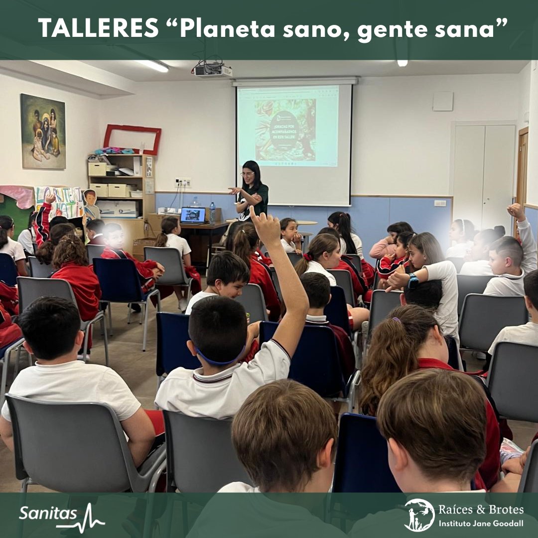 🌍🏃🏽‍♀️Seguimos sin parar con los talleres #PlanetaSanoGenteSana , en colaboración con @sanitas , tanto presenciales como virtuales, en diferentes centros de todo el país. 👩🏽‍🏫 #tallereseducativos #RaícesyBrotes #educacionambiental #onehealth #saludambiental @JaneGoodallEspa