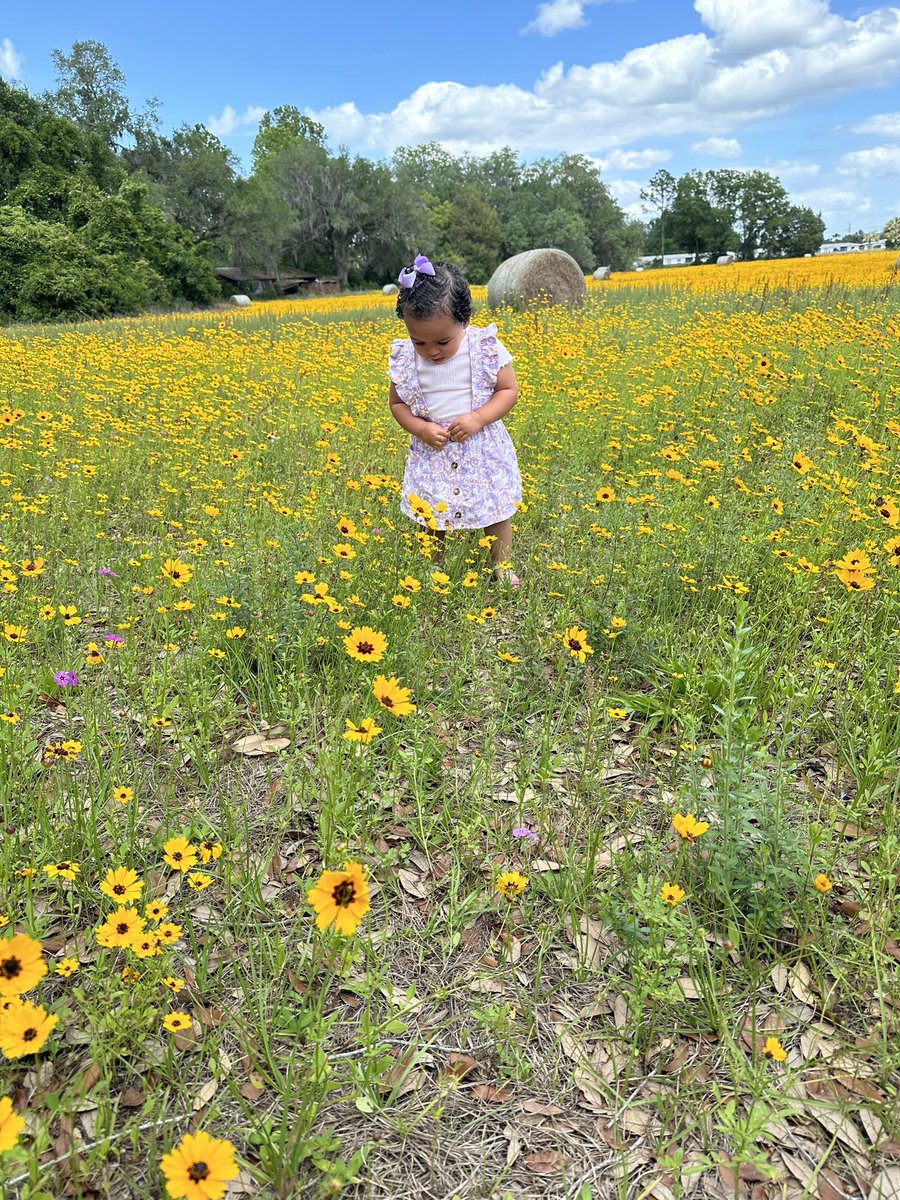 abagalerinker's tweet photo. I’m obsessed with you 😍😍 https://t.co/cllftdVmfD