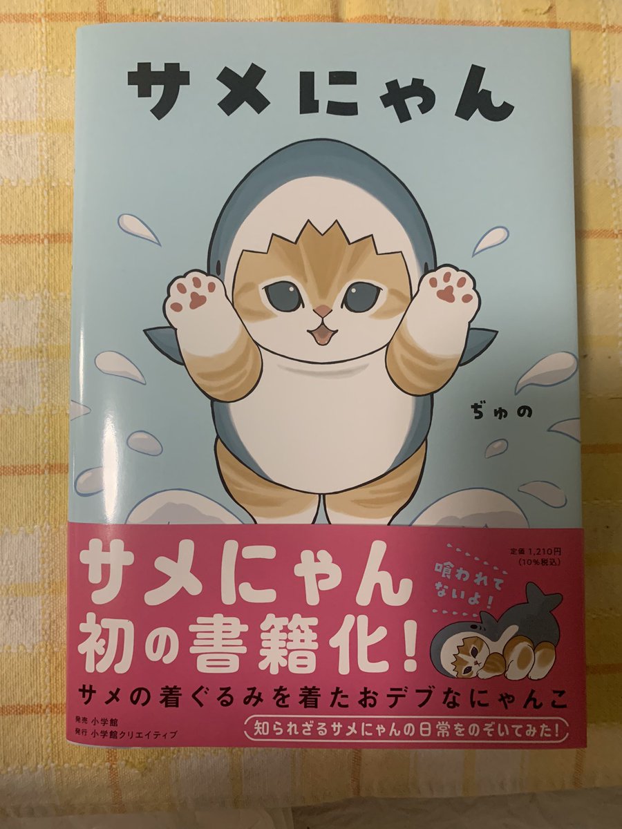 halla13's tweet image. サメにゃんの本を毎日、読んでます。買ってよかった