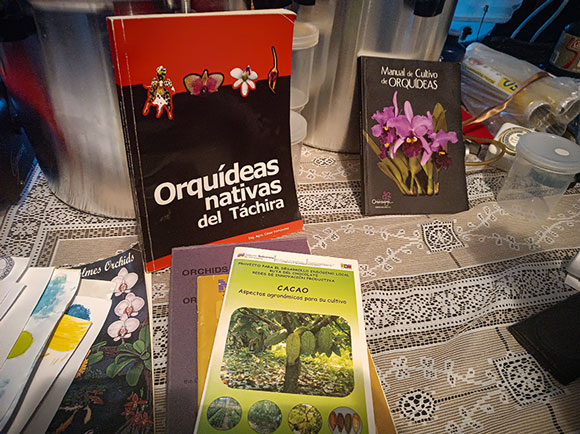 LaInventadera's tweet photo. #29Abr 

Nuestra flor nacional y la ciencia para la vida

Aunque se da formidablemente bien en su hábitat silvestre, la producción sistemática de orquídeas requiere de alta tecnología.

✍️Penélope Toro León / Fotos Wilfredo Machado

📰https://t.co/Sln7aA4yey https://t.co/49P7be53ZN