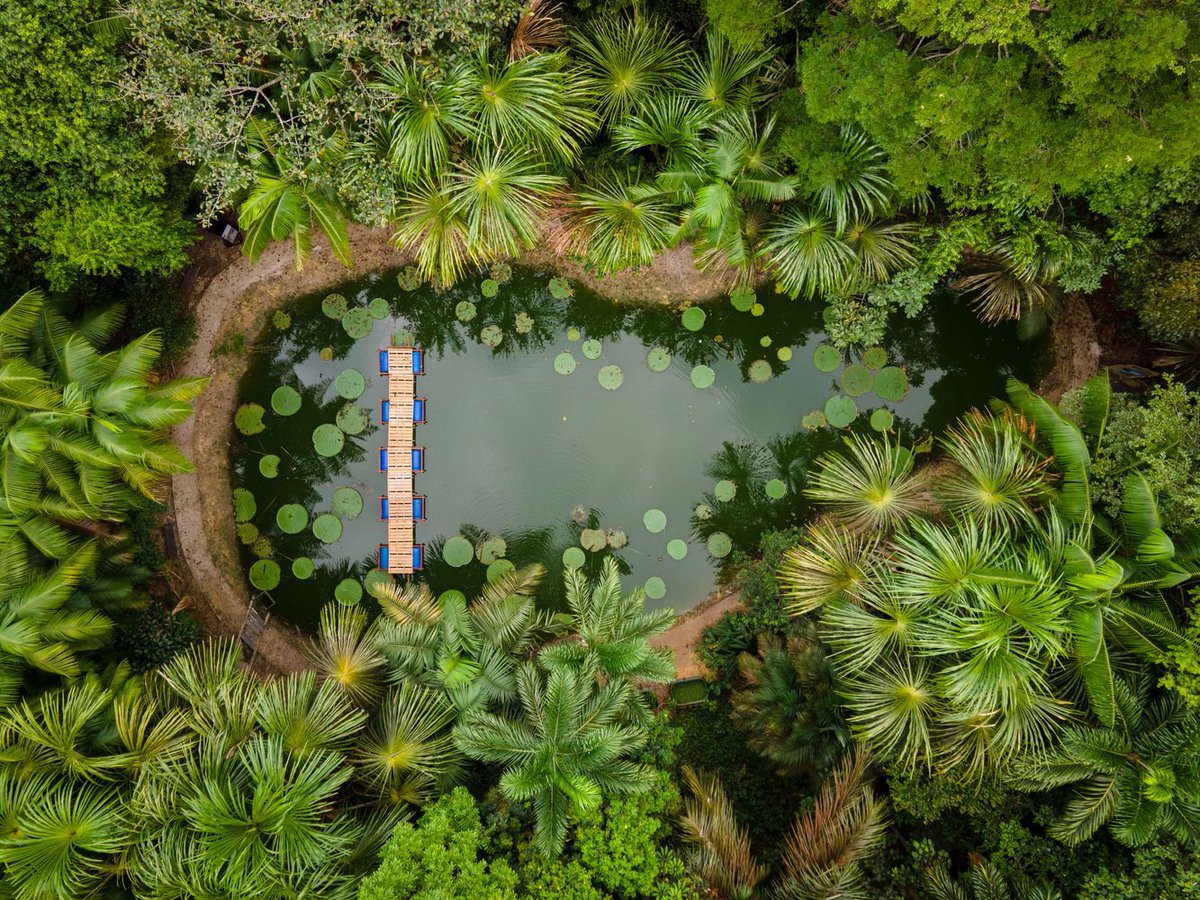 Amazonian Cities: What It Is Like to Live Close to the Largest Tropical Rainforest on the Planet ow.ly/Ly8950Rqvun