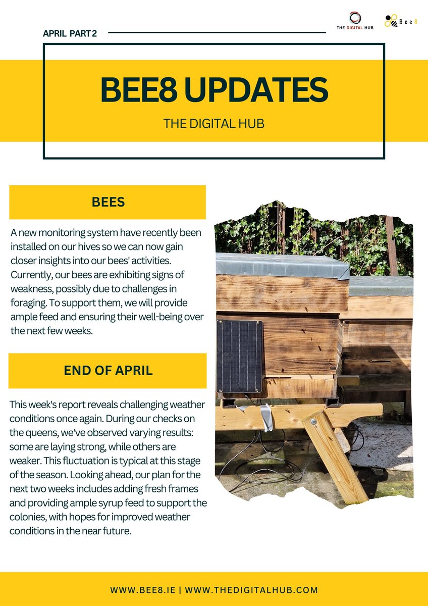 Here's our latest Bee8 update from the @InnerCityBee8 project managed by @cdp_robertemmet in partnership with The Digital Hub and @smart_d8. #Dublin8 #health #wellbeing #community #Bee8 #Beekeeping #BeeFacts